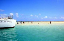 天使の海ピクニック・セイル