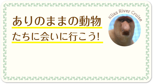 ありのままの動物たちに会いに行こう!