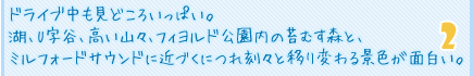 ドライブ中も見どころいっぱい。湖、U字谷、高い山々、フィヨルド公園内の苔むす森と、ミルフォードサウンドに近づくにつれ刻々と移り変わる景色が面白い。