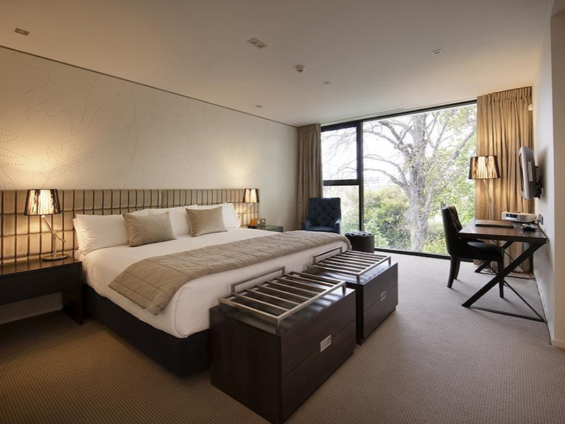 ザ ジョージ クライストチャーチ3